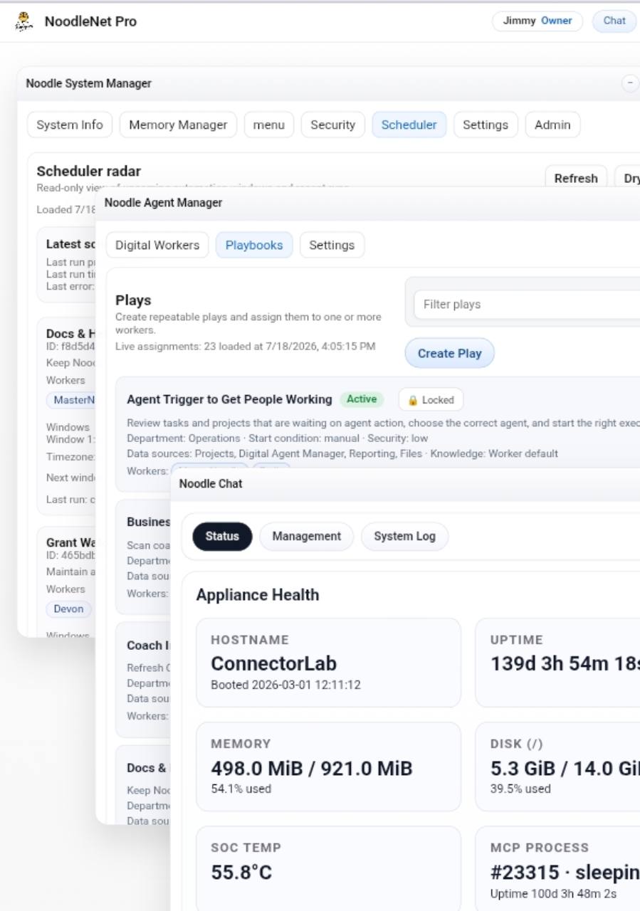 NoodleNet Pro workspace showing system manager, agent manager, playbooks, and appliance health panels together